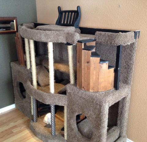 Cat Hotel